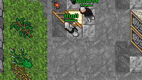 Higil on screen