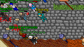 Exireg on screen