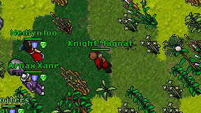 Knight Magnat on screen