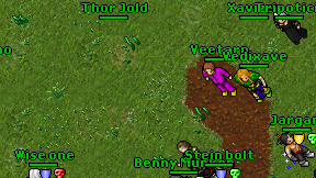 Tripoticia on screen