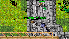 Hybrid-Mielec on screen