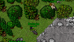 Dninja on screen