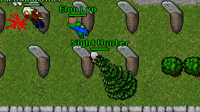 Night Hunter on screen