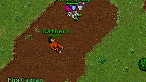 Gathero on screen