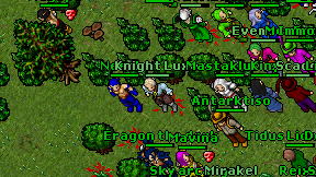 Knight Luxor on screen