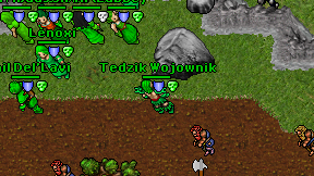 Tedzik Wojownik on screen