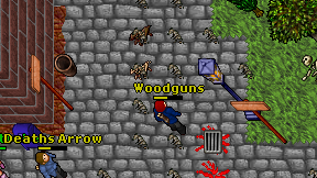 Woodguns on screen