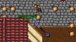 Dona-Vera on screen