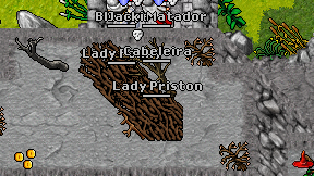 Lady Priston on screen