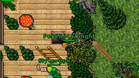 Pekeneta Knight on screen