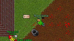 Marijaia on screen