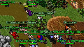 Fenix Guard on screen