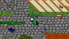 Elf Scoult on screen