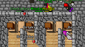 Zellexo on screen