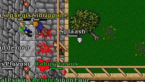 Splaash on screen
