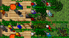 Nathro on screen