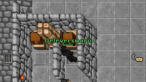 Deleversmario on screen