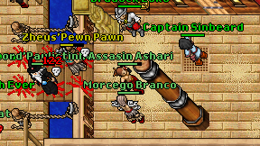 Assasin Ashari on screen