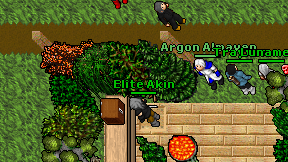 Elite Akin on screen