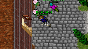 Kenadal on screen