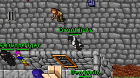 Druid Tuts on screen