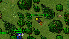 Thus Katiol on screen