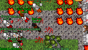 Dirvi on screen