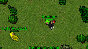 Savious on screen