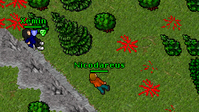 Nicodareus on screen