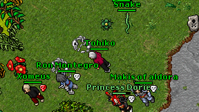 Tohiko on screen