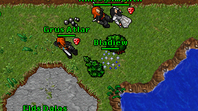 Bladiew on screen