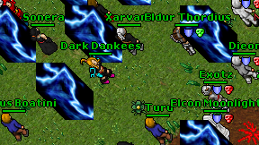 Dark Dankees on screen