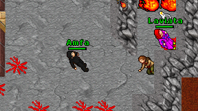 Amfa on screen