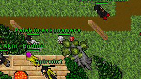 Lunamera on screen