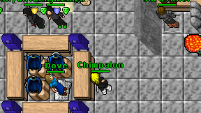 Chimpalon on screen