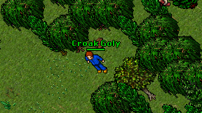 Croak Goly on screen
