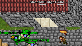 Shadow Fidget on screen