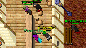 Peke wiki on screen