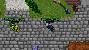 Kamilera on screen