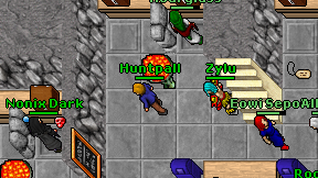 Zylu on screen