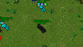 Bldzinho on screen