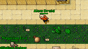 Alew Druid on screen