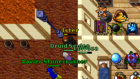 Ister on screen