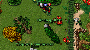 Ninja gallet on screen