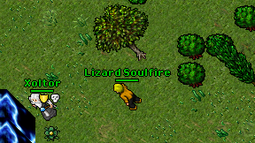 Lizard Soulfire on screen