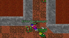 Elite'Pyci knight on screen