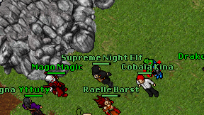 Supreme Night Elf on screen