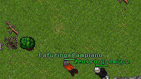 Cafuringa Pampiano on screen