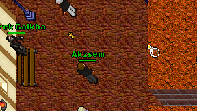 Akzsem on screen