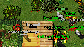 Sazumii on screen